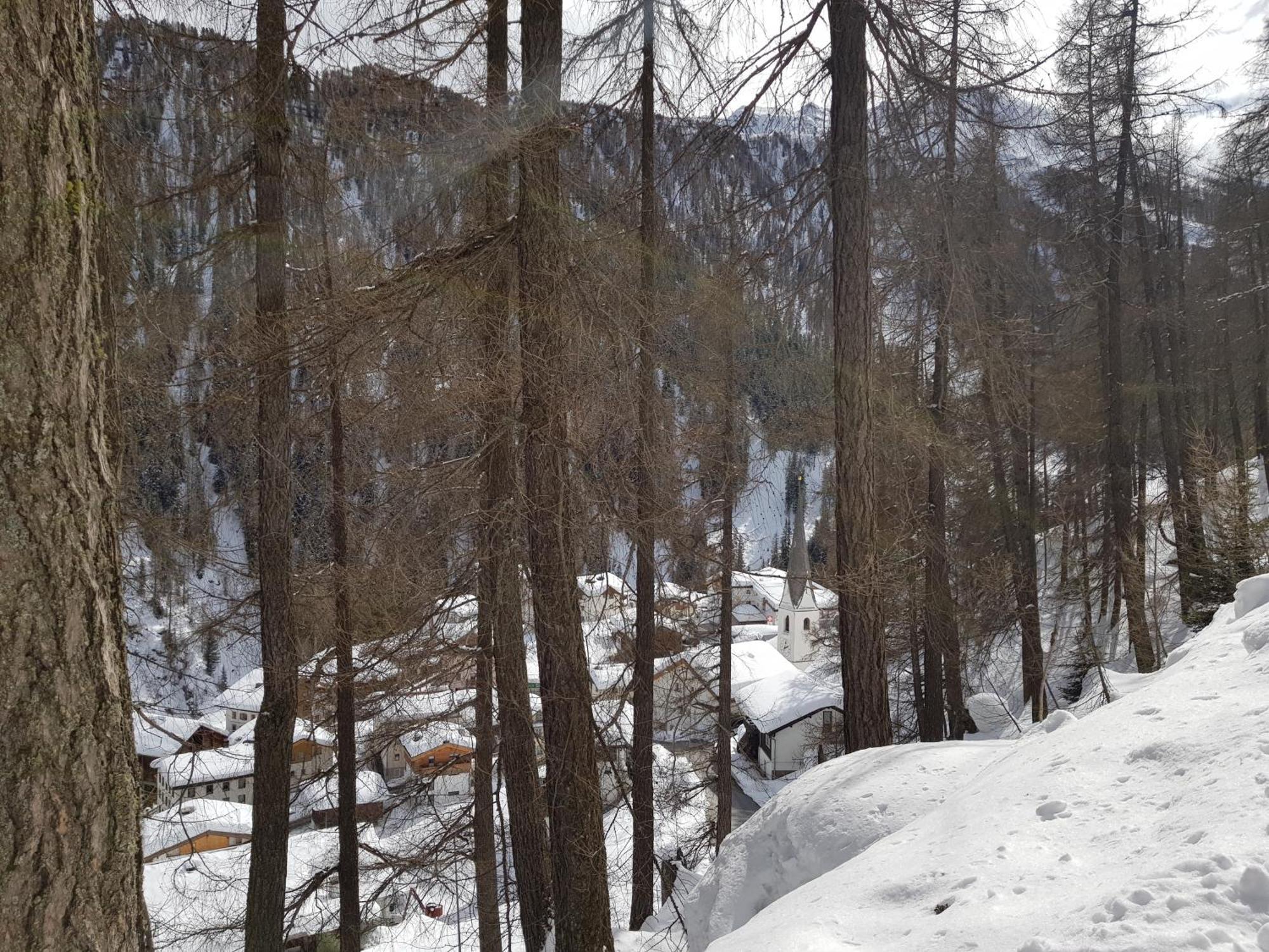 Apart Foresta Samnaun Extérieur photo